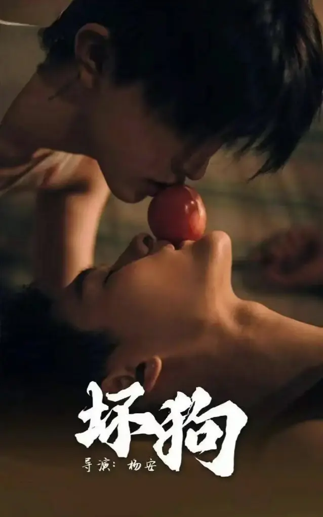 《坏狗》无广告高清全集免费看-坏狗短剧1080P超清画质-兄弟情深禁忌之恋剧情-极光影视同步更新