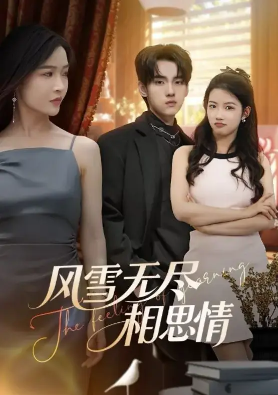 《风雪无尽相思情》1-61集全季在线看-未删减版HD高清播放-风雪无尽相思情全集资源网盘分享