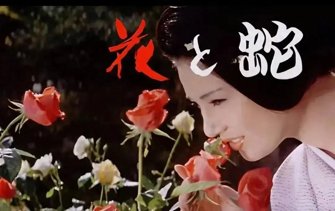 《花与蛇3：白衣绳奴》日本电影在线观看 - 1080P高清画质完整版 - 无广告剧情片免费播放