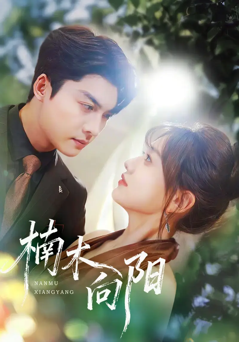 《楠木向阳》短剧全70集完整版 - 高清画质免费在线观看 - 方正男仇乐瑶主演无删减