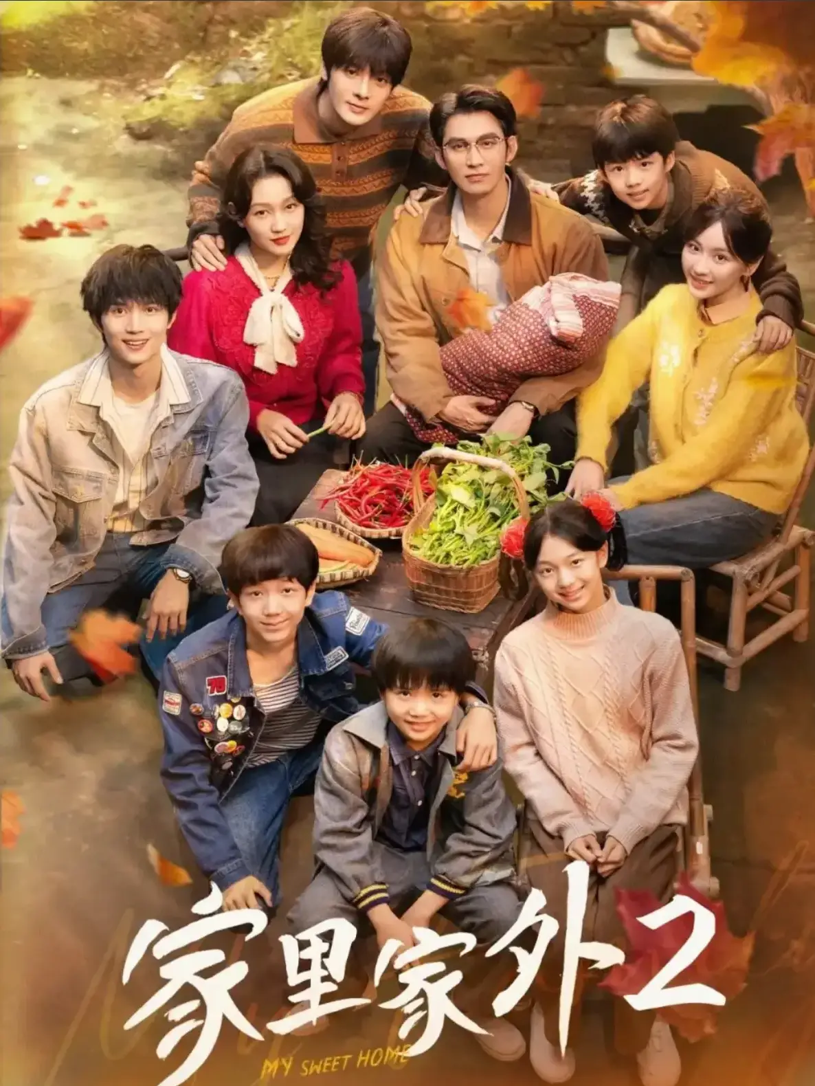 《家里家外2》国产短剧完整版 - 大陆剧1080P高清资源 - 免费在线观看全集