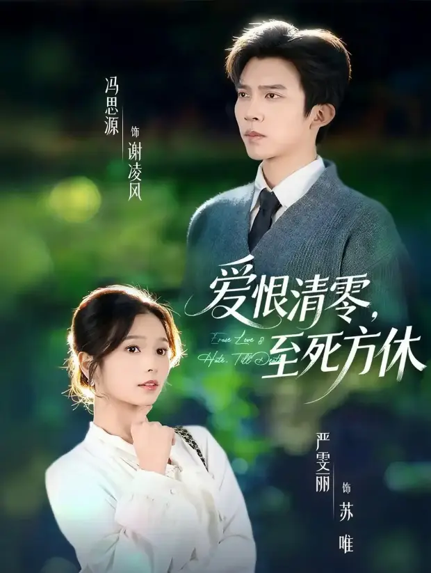《爱恨清零，至死方休》全集高清播放 - 无广告免费观看4K - 1080P超清中字资源