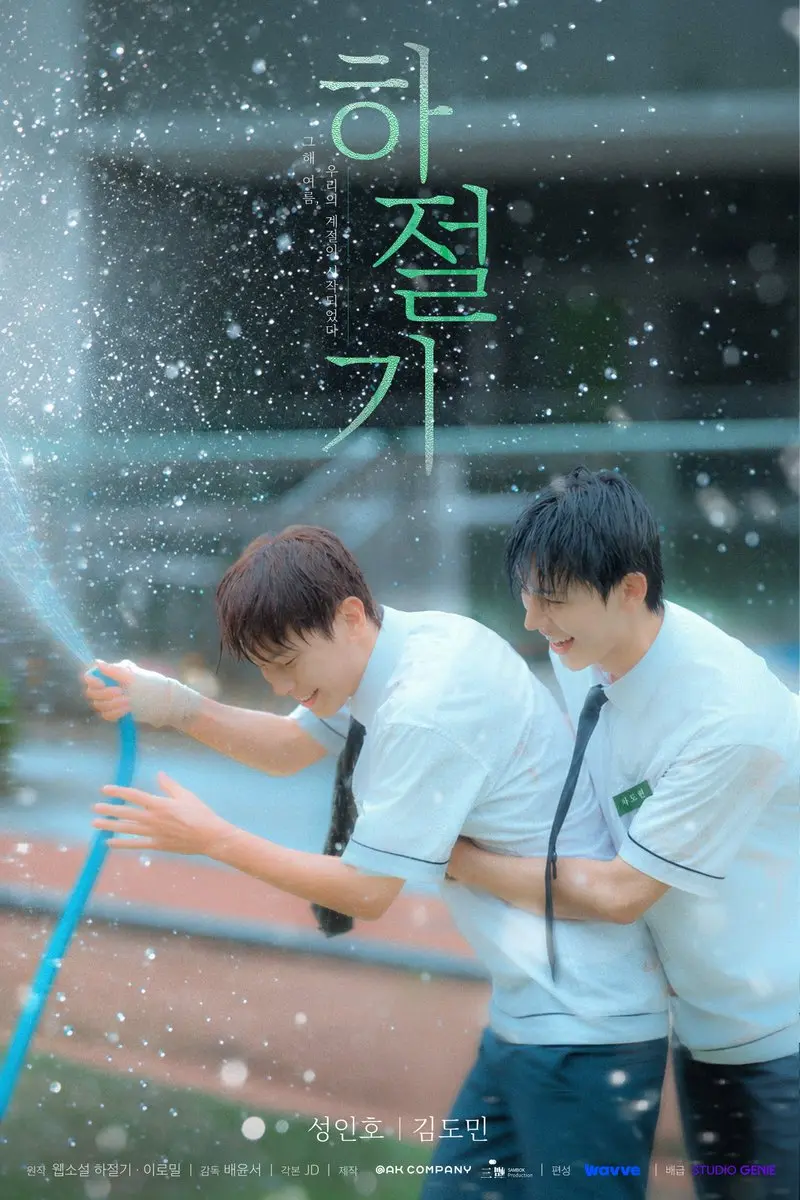 《夏季》最新2026韩剧全集免费观看国语完整版-夏季在线观看HD高清-双男主主演无广告播放