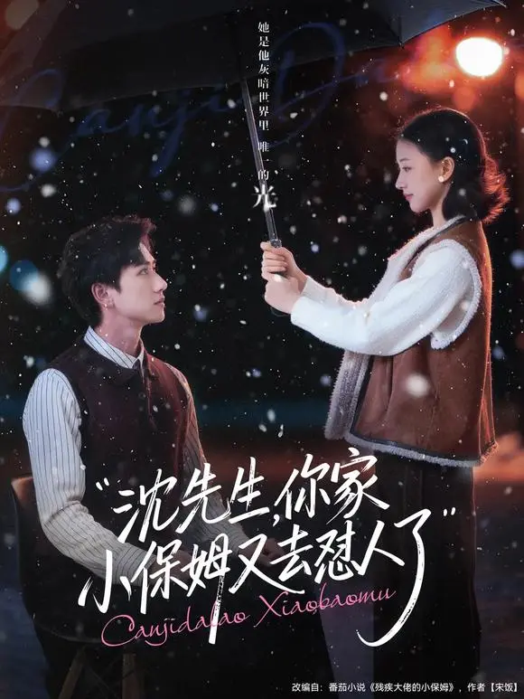 《沈先生，你家小保姆又去怼人了》82集全-高清1080P短剧沈先生你家小保姆又去怼人了在线观看-陈政阳廖银玥主演网盘资源下载