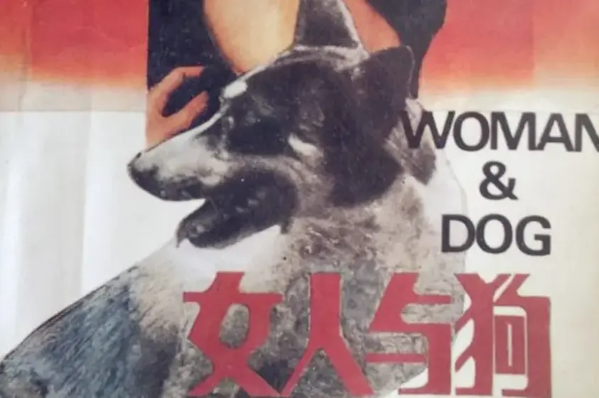 《女人与狗》HD 1080P全集免费观看-欧美电影《女人与狗》完整版在线看-高清无删减无广告播放