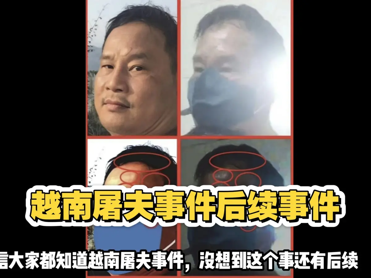 越南屠夫阮春达案原视频无删减版-作案全过程真实影像-全网热议事件-1080P高清画质在线观看