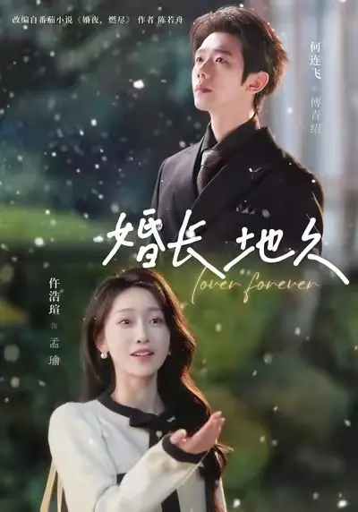 《婚长地久》全集完整版-2025热播短剧《婚长地久》1080P超清中字-无广告免费在线观看高清HD