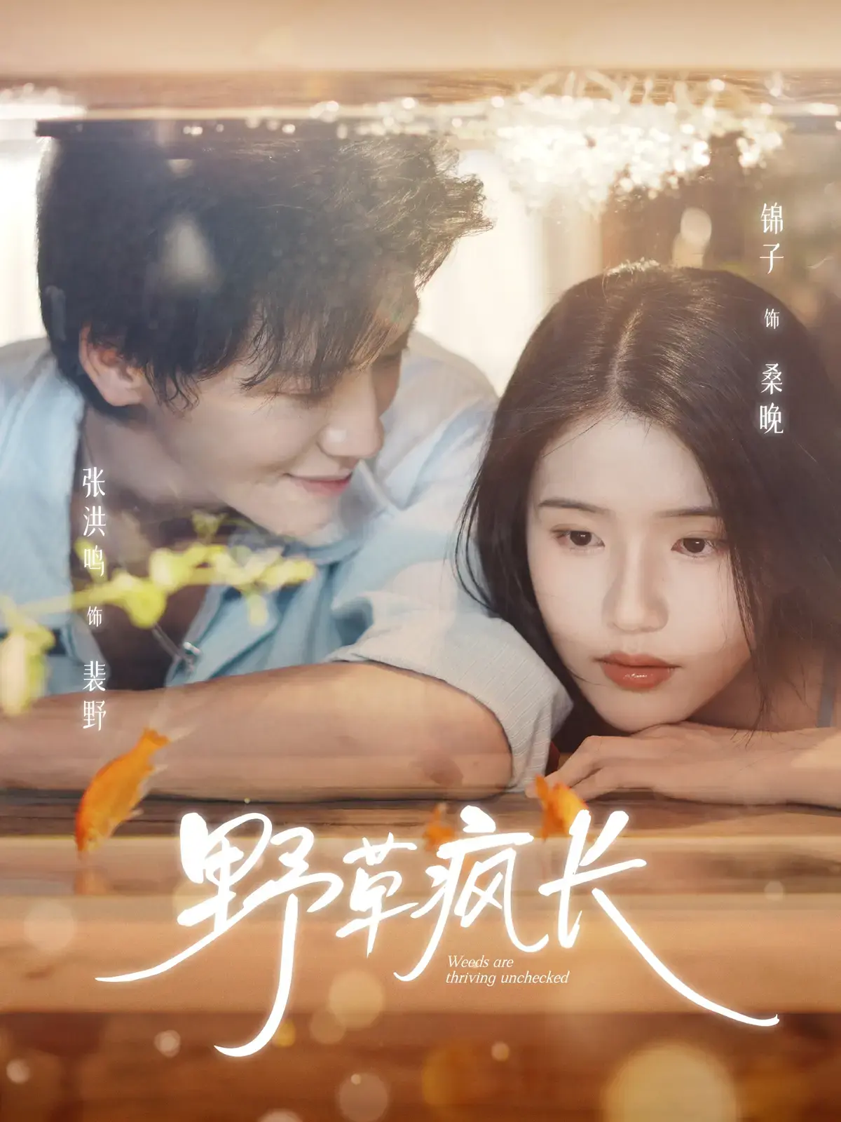 《野草疯长》全71集完整版 - 1080P HD高清画质 - 新番短剧免费观看资源分享