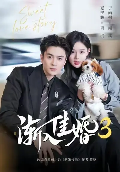 《渐入佳婚3》相关资源图片