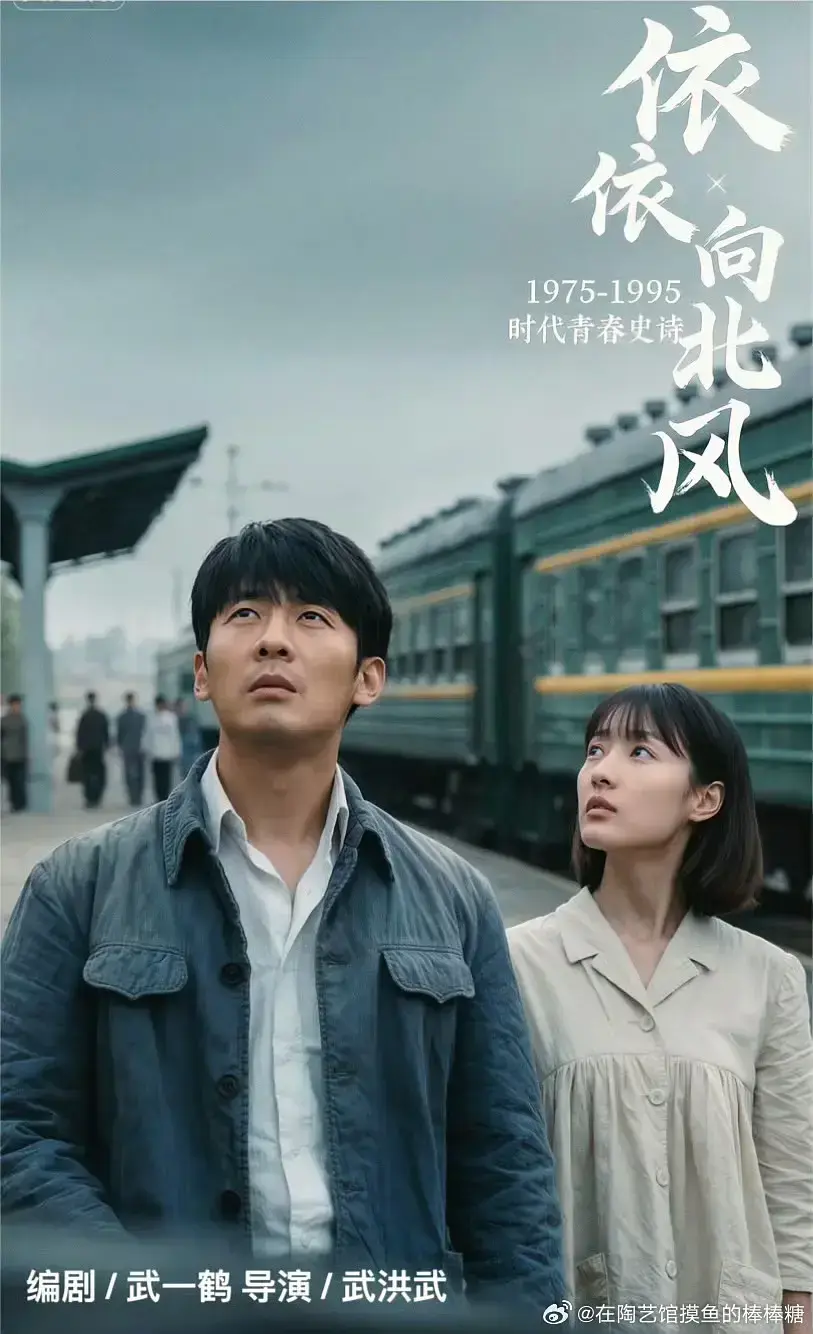 《依依向北风》全集完整版免费观看-2025年菅纫姿主演国产剧《依依向北风》HD高清在线播放-无广告未删减资源