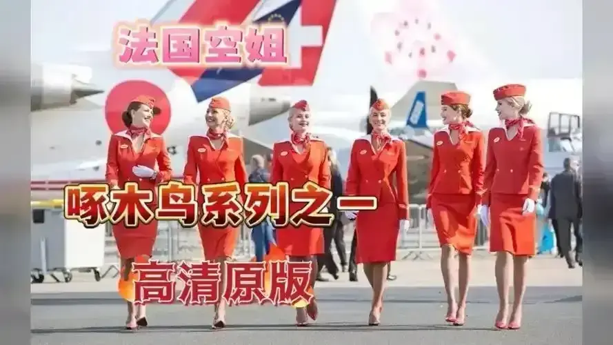 《法国空姐2019/不雅空乘》HD高清完整版无删减在线观看-《法国空姐》1080P原片国语中字免费播放-空乘职场内幕情感大戏资源