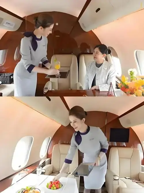 《私人航空/法国航空》未删减版HD高清在线观看-私人航空/法国航空完整版免费播放-无弹窗无广告-看全集