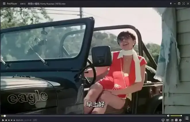 《美丽小蜜桃》未删减版高清中字-1978年美国喜剧电影完整版在线观看-美丽小蜜桃HD1080P免费播放