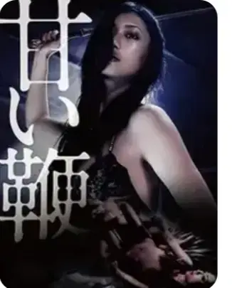 《甜蜜皮鞭》电影1080P高清完整版在线观看-2026日本剧情片《甜蜜皮鞭》未删减中字-HD画质免费播放-VS影视