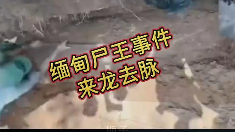 资源图片